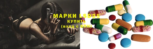 гидра Гусиноозёрск