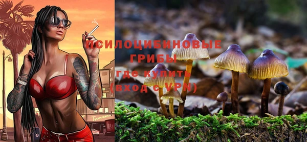 мяу мяу кристалл Гусев