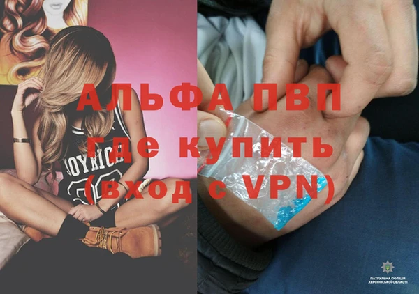 крисы Гусь-Хрустальный