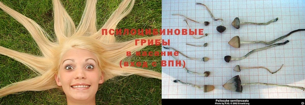 гидра Гусиноозёрск