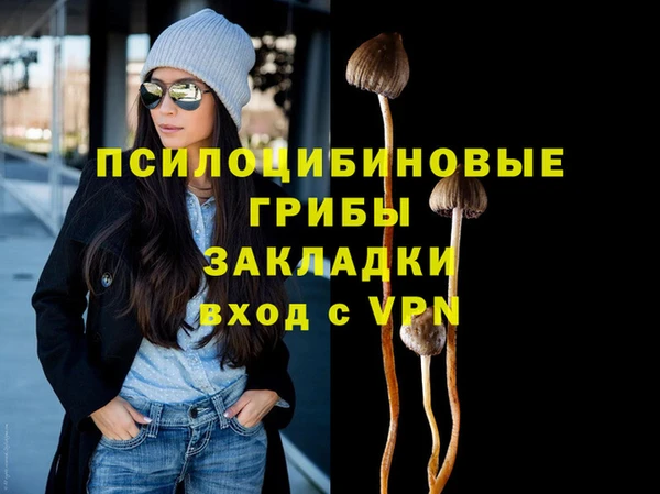 крисы Гусь-Хрустальный