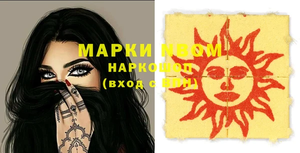 гидра Гусиноозёрск