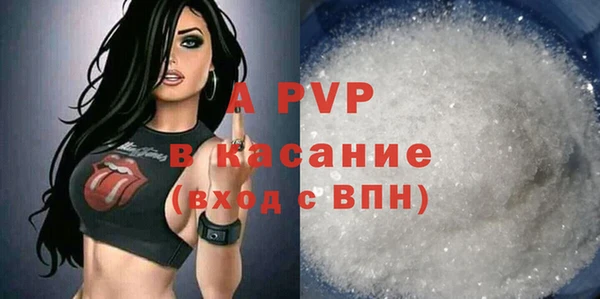 гидра Гусиноозёрск